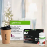 Winter-Energie-Bundle-H24-LiftOff-Max.png